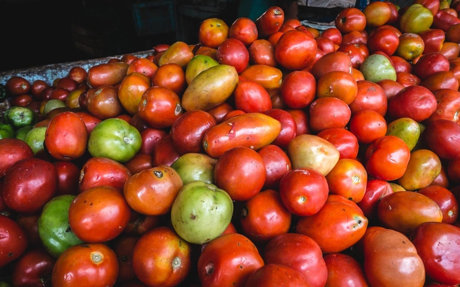 Montanha de tomates vermelhos e verdes misturados em uma banca