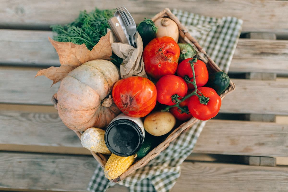 Cesta de piquenique vista de cima com tomates, abóbora, milho e batatas frescas