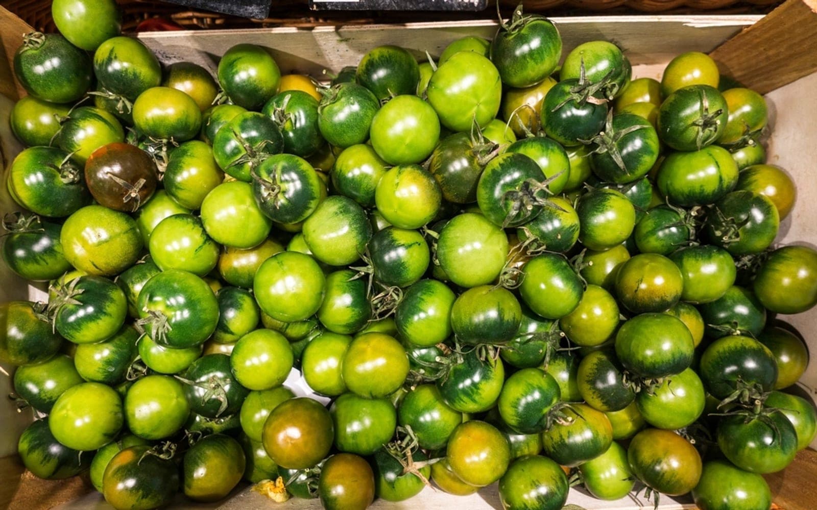 Caixa de madeira com tomates verdes ainda firmes