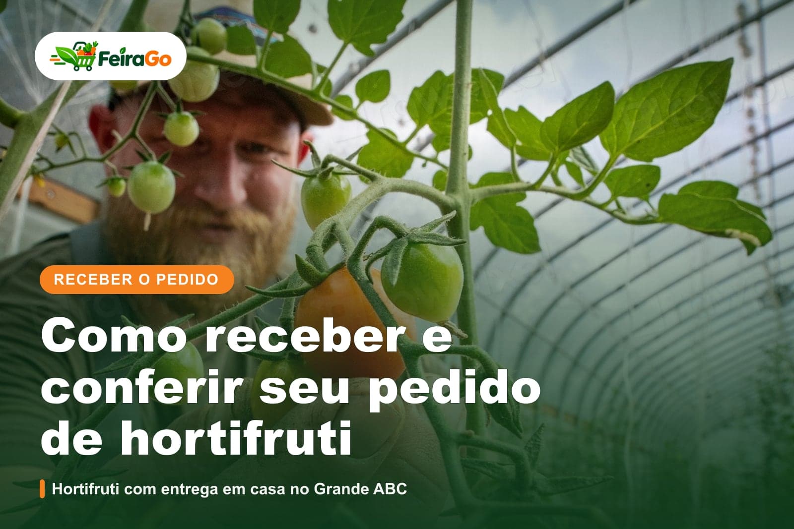 Mulher sorridente segura uma caixa de papelão cercada de plantas verdes