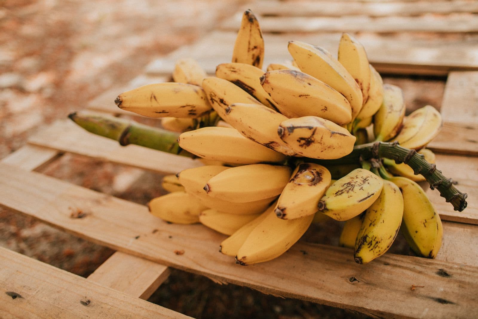 Penca de bananas maduras sobre uma superfície de madeira rústica
