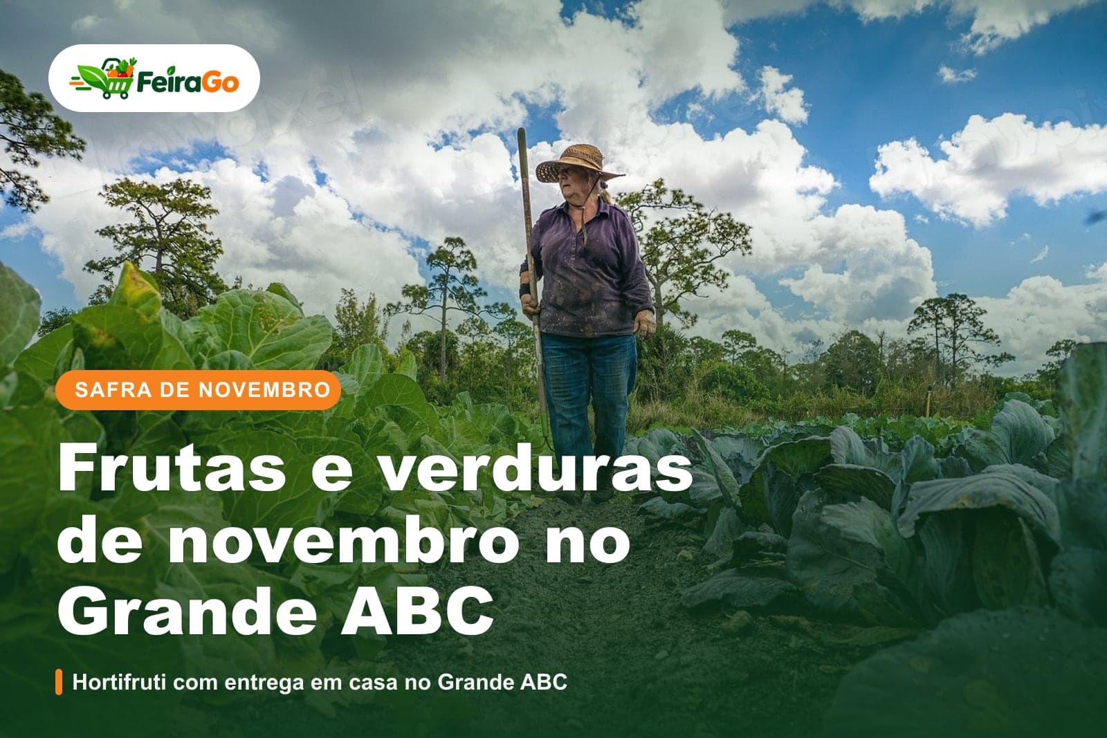 Mulher de chapéu caminha entre fileiras de couve sob um céu azul com nuvens