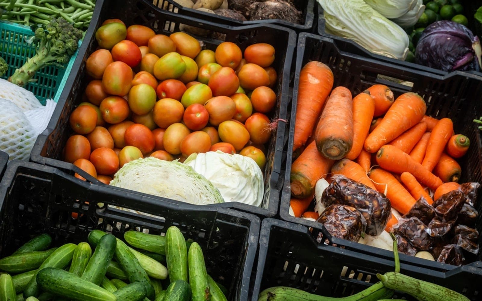Caixas pretas com tomates, repolho, cenouras e pepinos organizados lado a lado