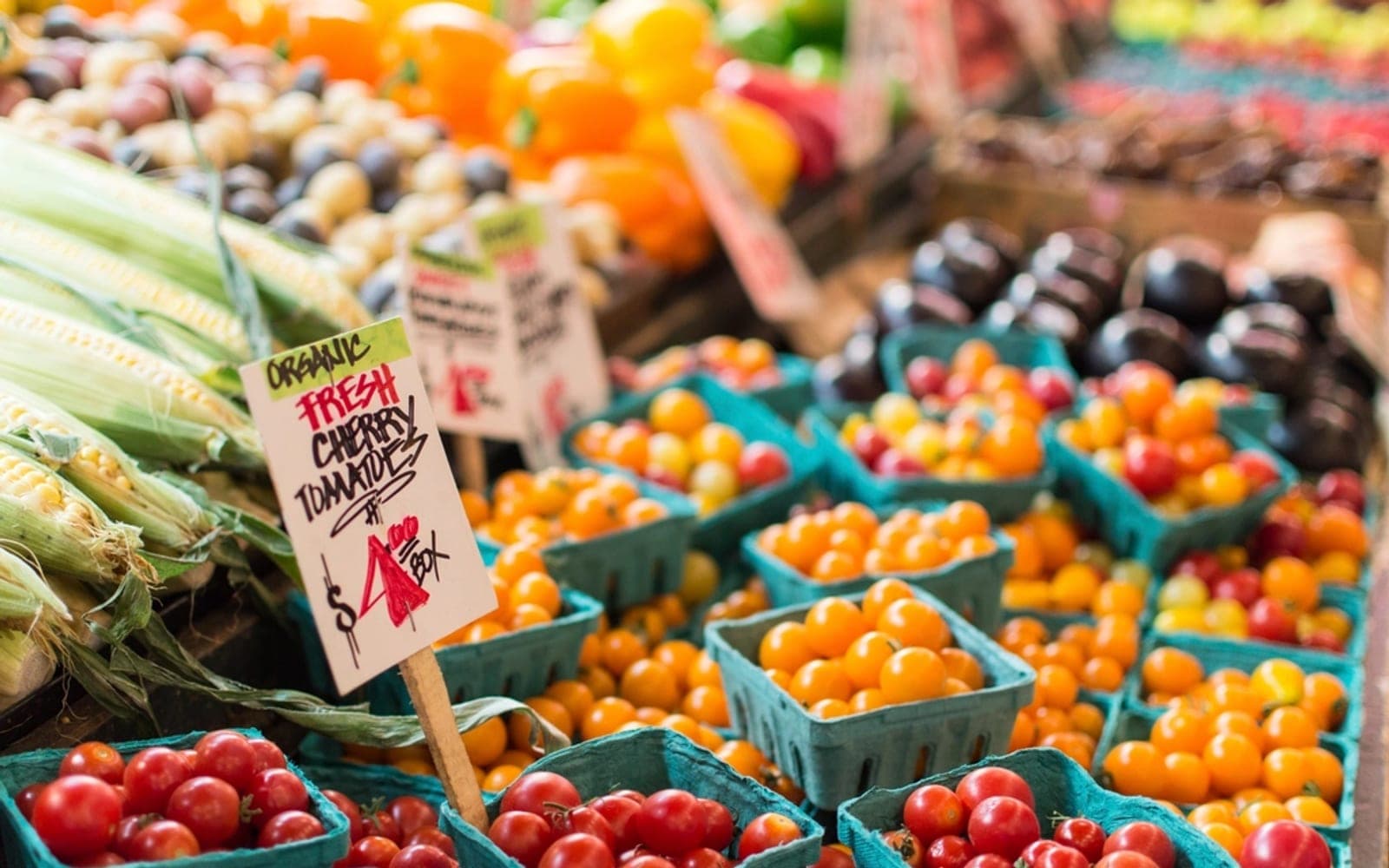 Banca com caixas de tomates-cereja, milho e pimentas organizadas por tipo