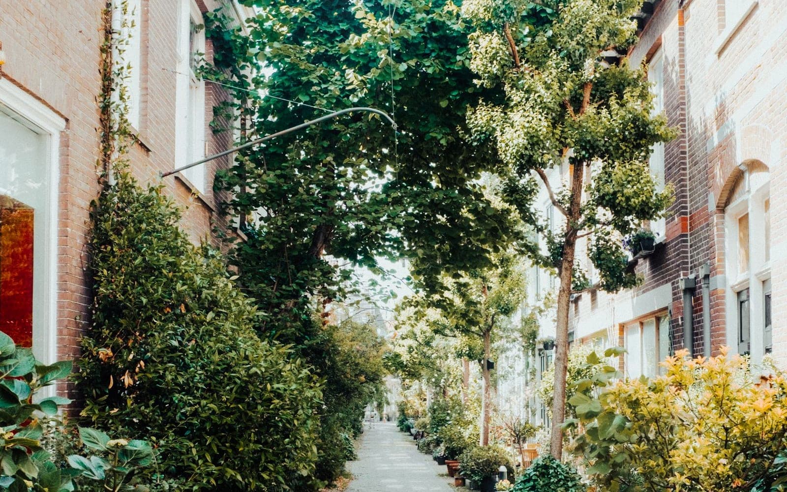 Rua residencial arborizada com casas e calçada de pedras entre os jardins