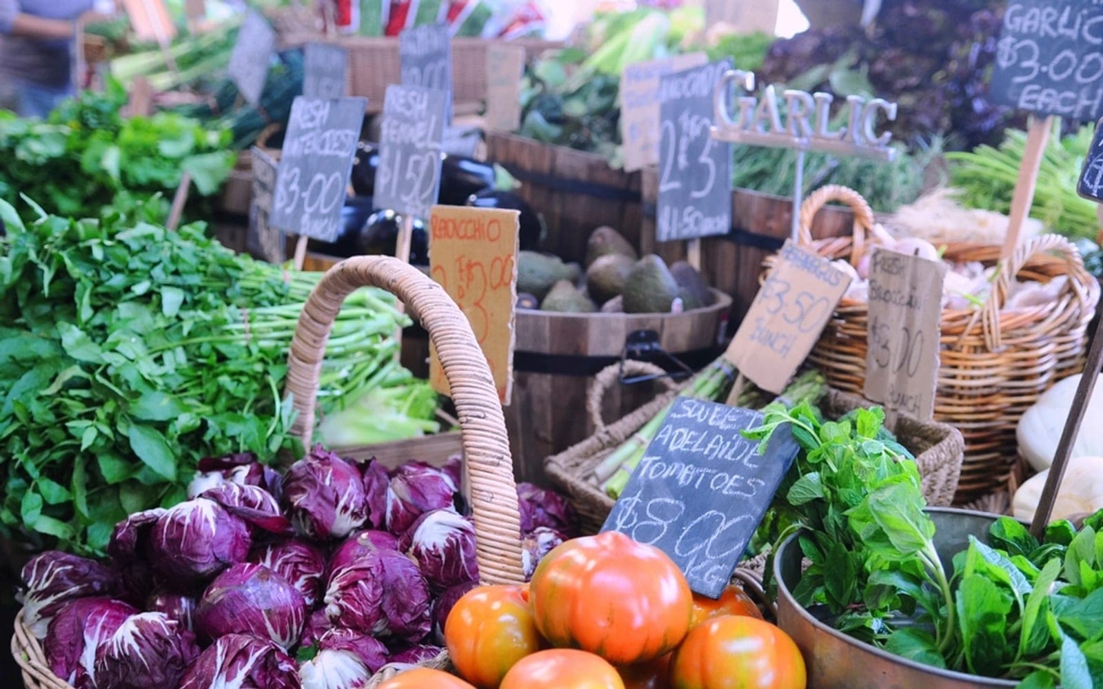 Banca de feira com repolho roxo, tomates, folhas e plaquinhas de preço