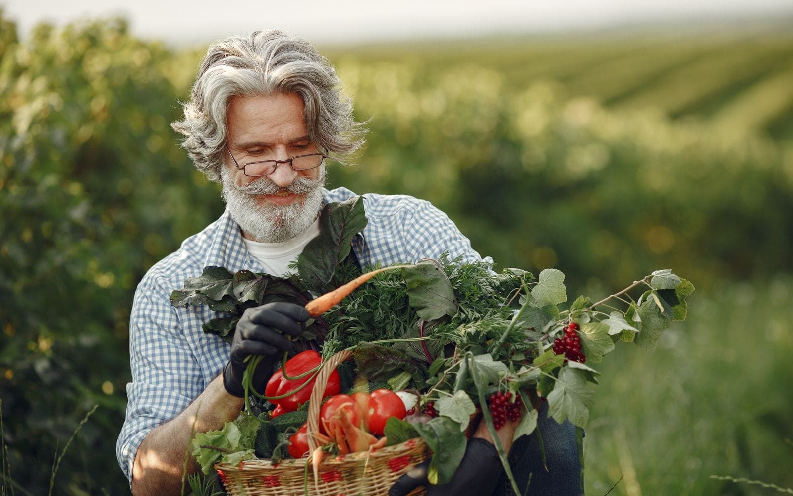 Homem de barba grisalha segura uma cesta de vime com cenouras, tomates e folhas
