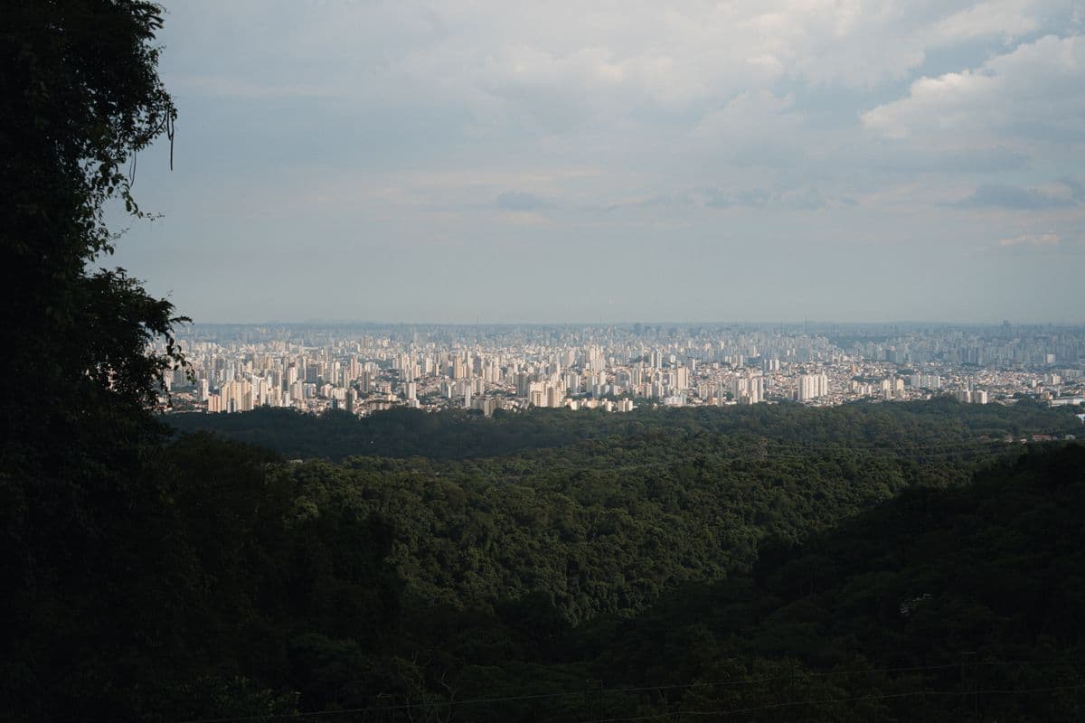 Área verde de mata em primeiro plano com a cidade ao fundo