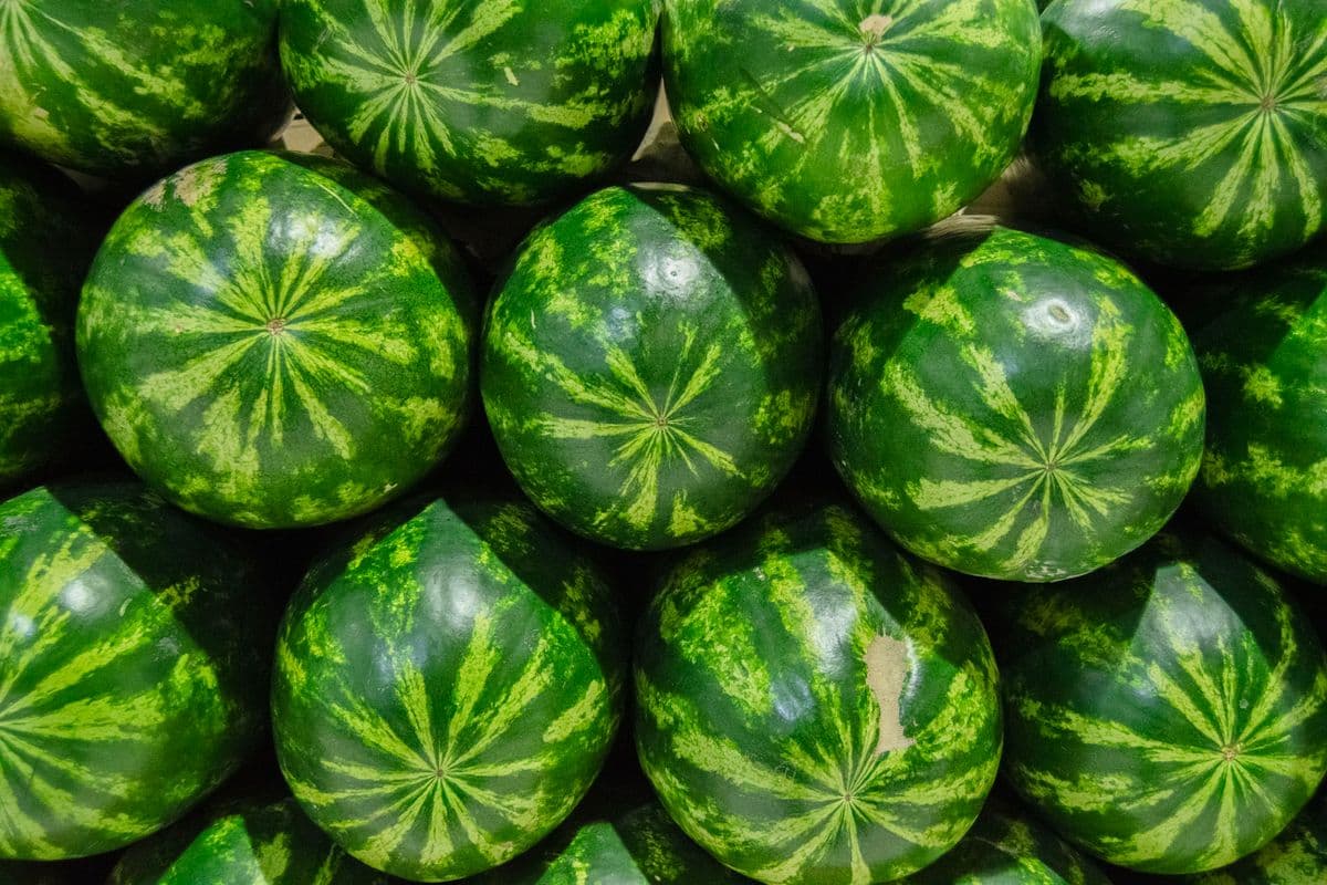 Melancias inteiras empilhadas lado a lado