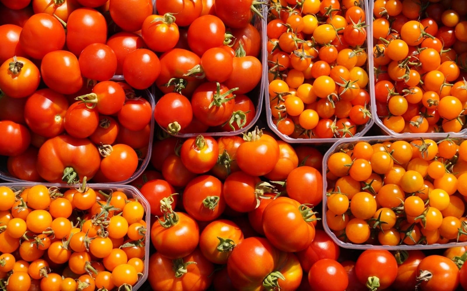 Caixinhas de tomates-cereja vermelhos e laranjas empilhados
