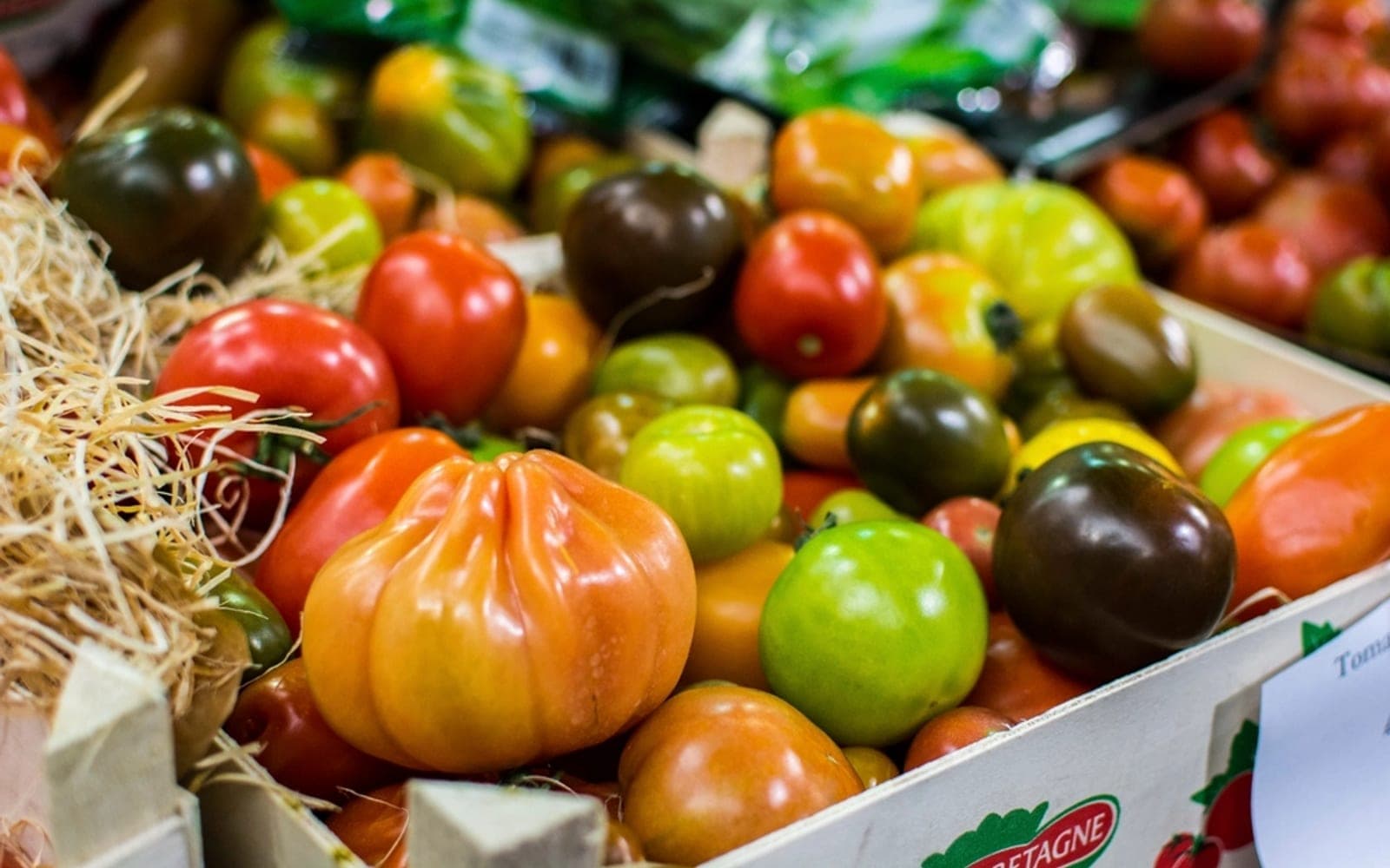 Caixa de papelão com tomates de várias cores e tamanhos