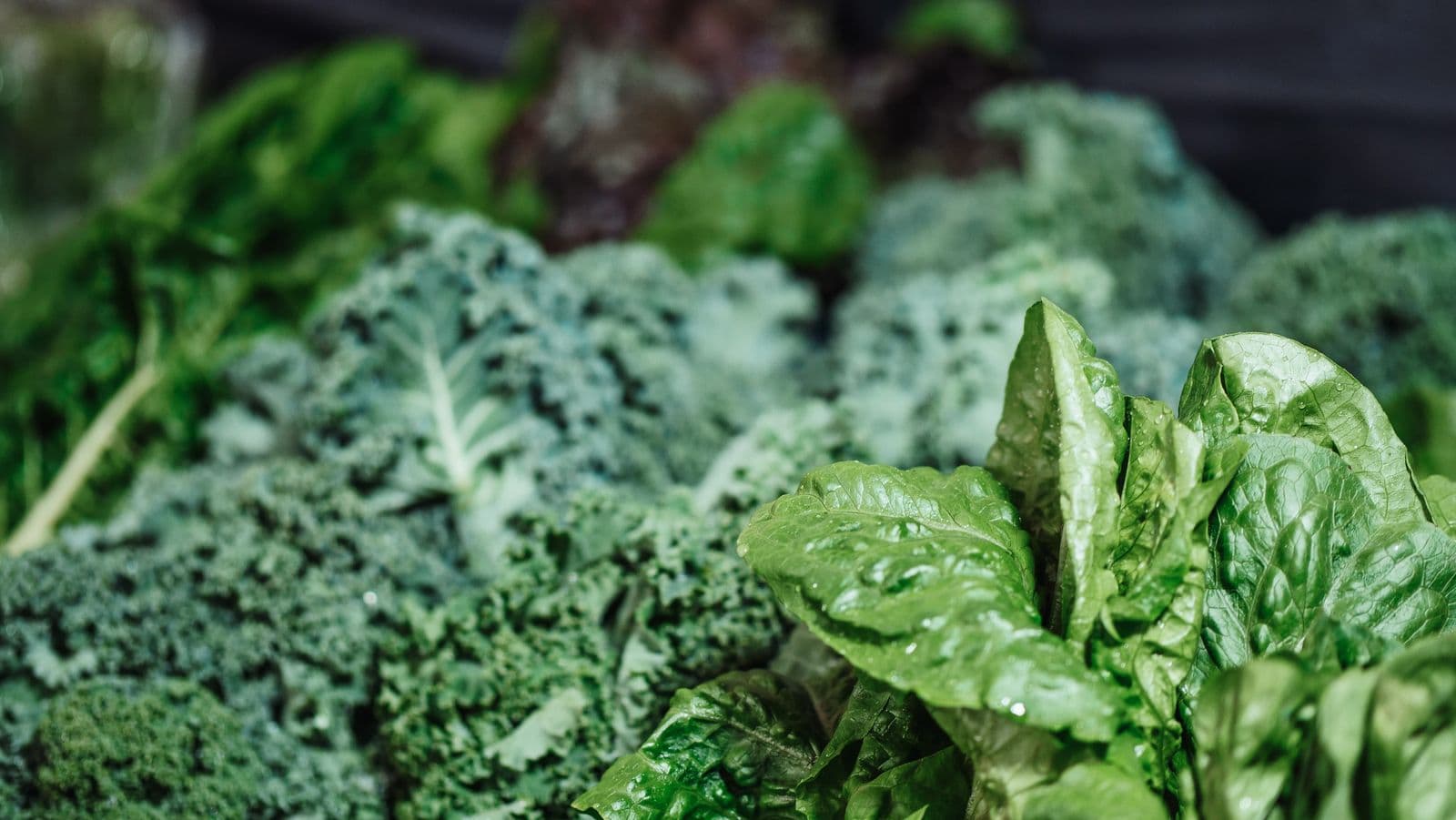 Folhas verde-escuras frescas, como couve e espinafre, em close-up