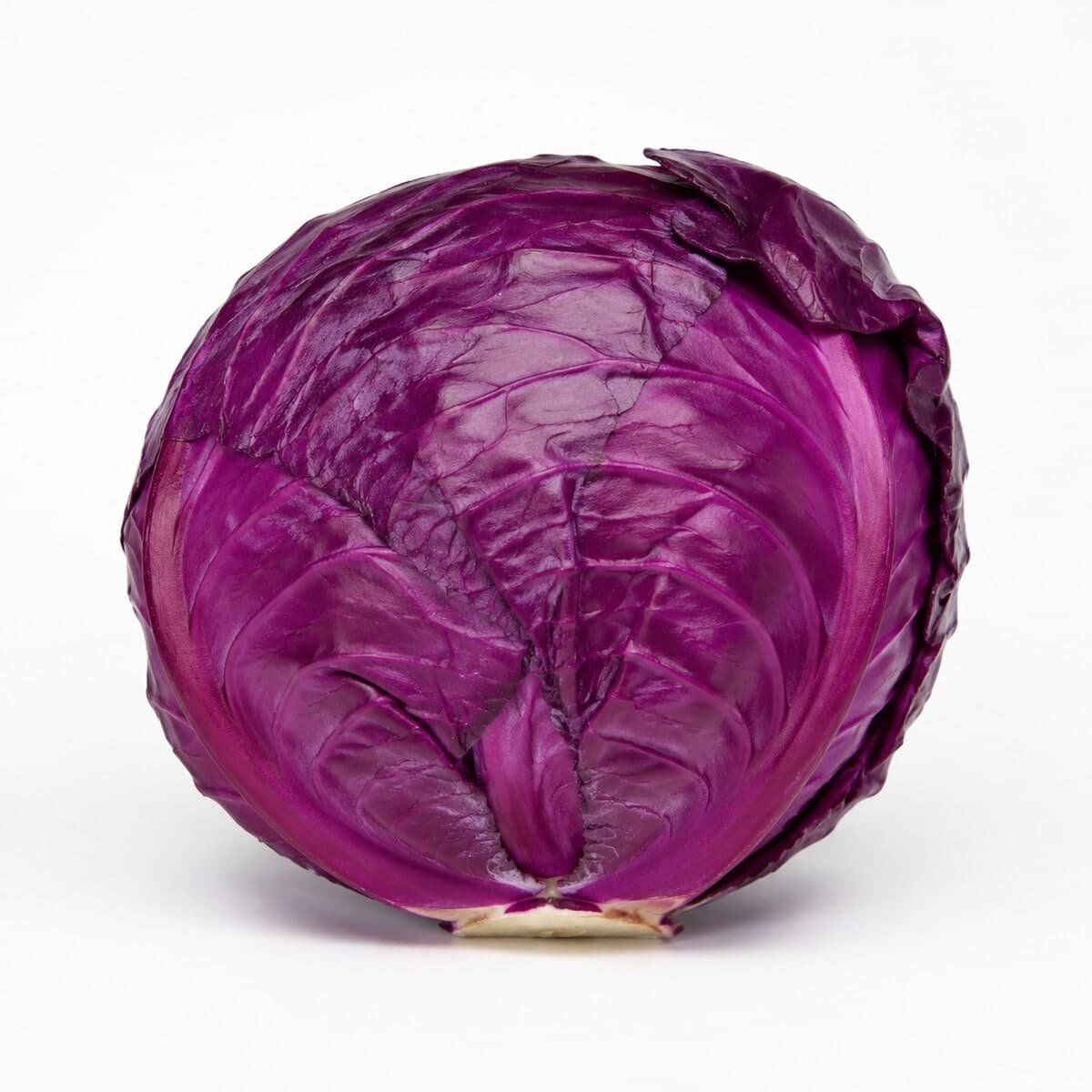 Repolho Roxo G — foto do produto