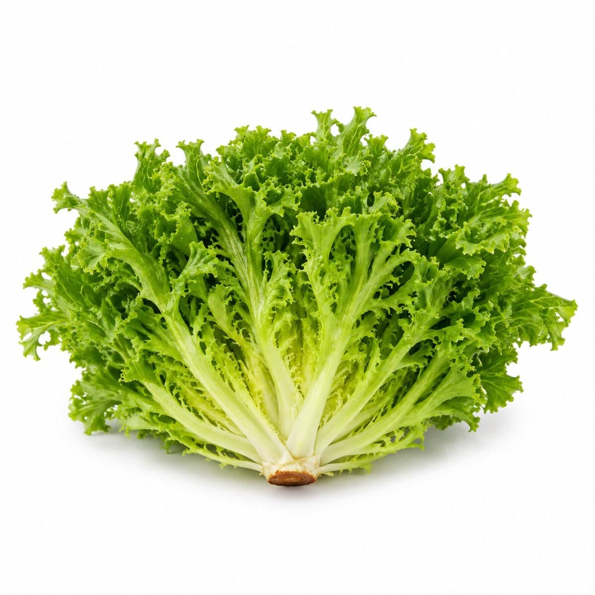 Escarola — foto do produto