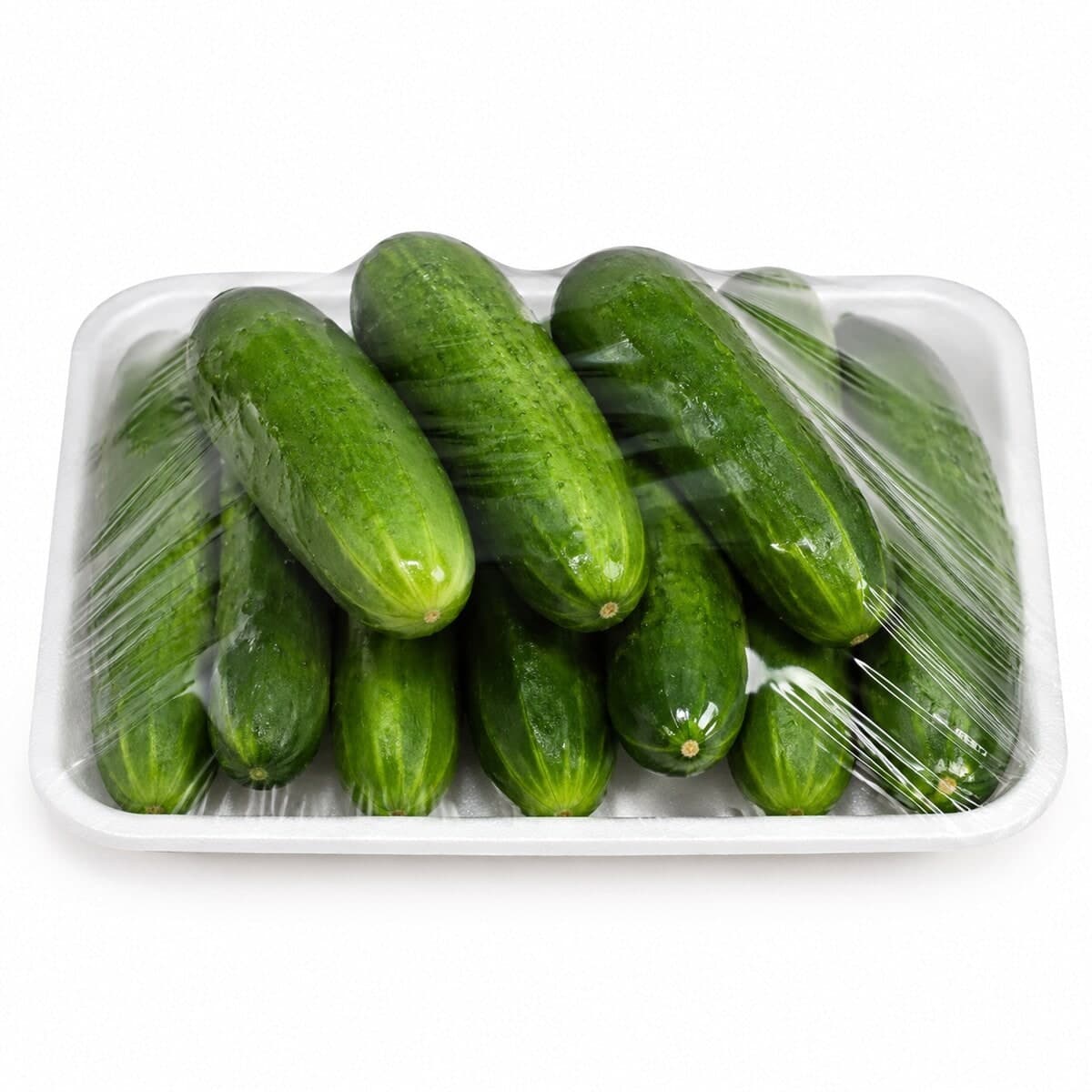 Bandeja Pepino Comum — foto do produto