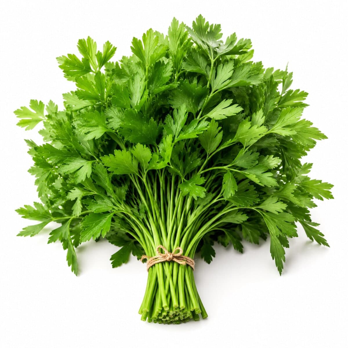 Salsa — foto do produto
