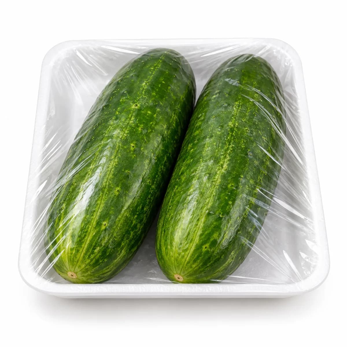 Bandeja Pepino Comum — foto do produto